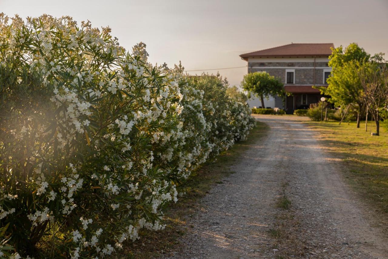 Agri Charme Tenuta Picilli Albanella Buitenkant foto